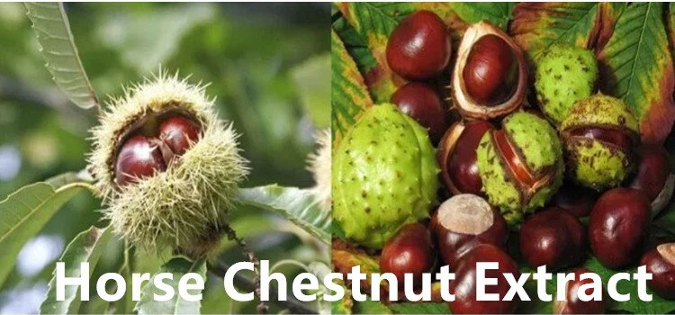 Horse Chestnut Escin.png